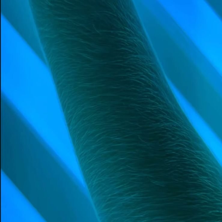 WhatsApp Image 2025-10-01 at 16.05.55